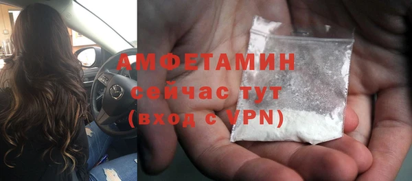 прущие грибы Володарск
