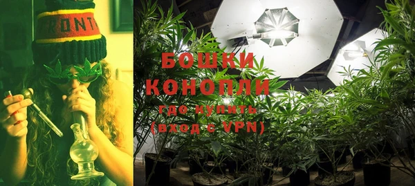 прущие грибы Володарск