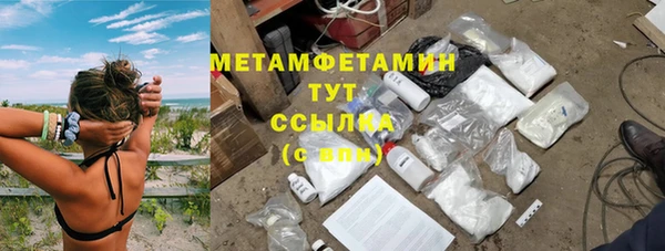 прущие грибы Володарск